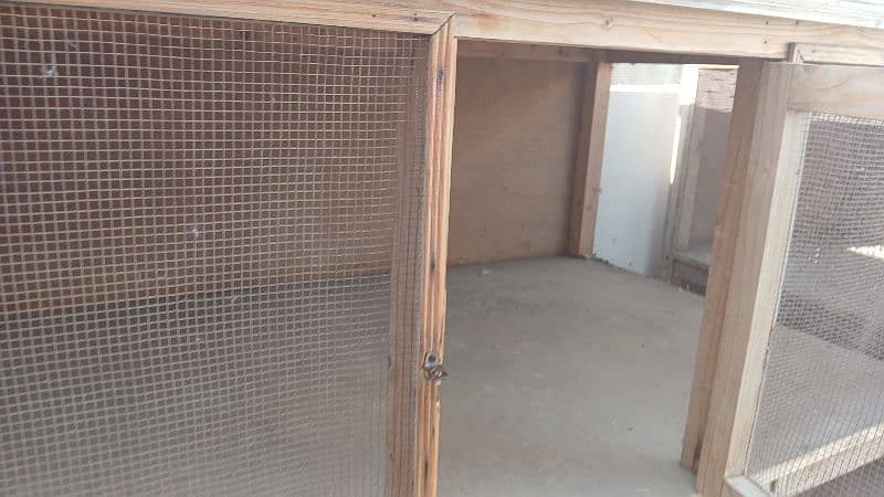 BirdsCage/ Hen Cage 5