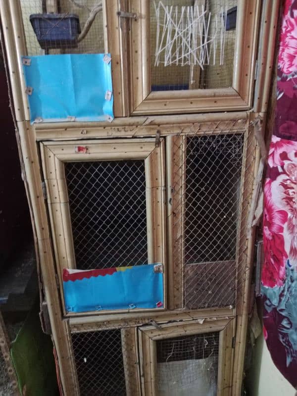 Aseels cages for Sale 0