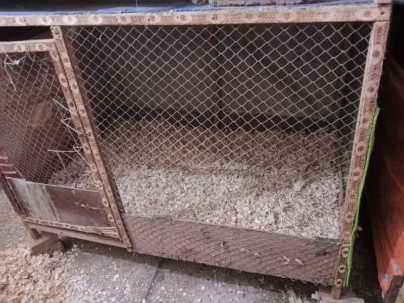 Aseels cages for Sale 2