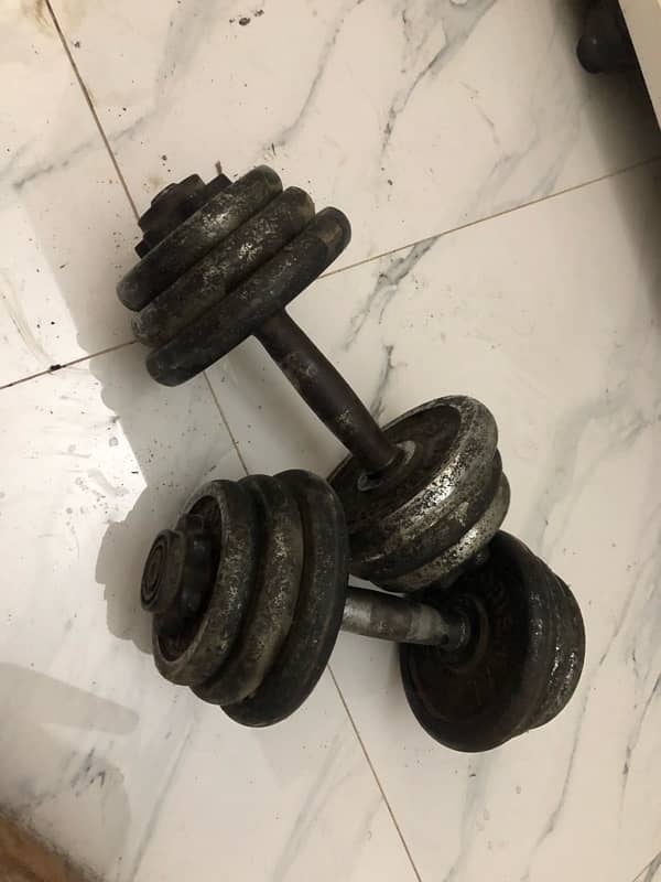 branded dumbbells set 2