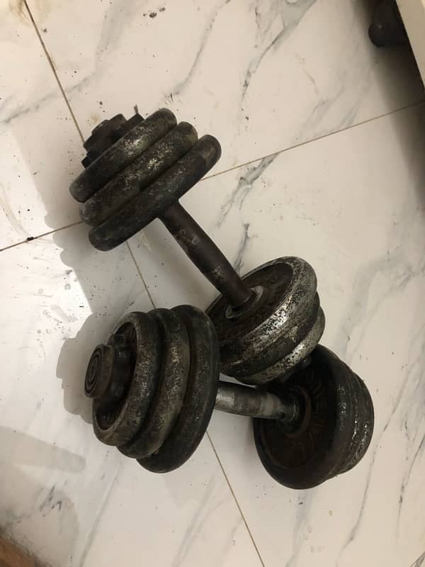 branded dumbbells set 4