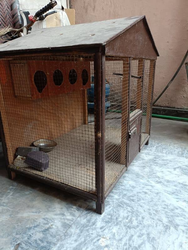 parrot/hen cage (full size) 1