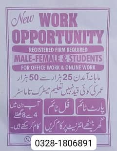 Male, Female and student required for office work and online work