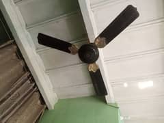 a high I guilty fan in good condition.