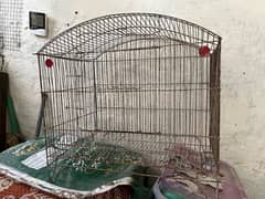 Bigsize cage for cocktails , lovebirds