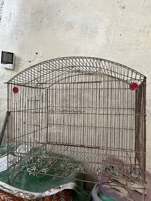 Bigsize cage for cocktails , lovebirds 1