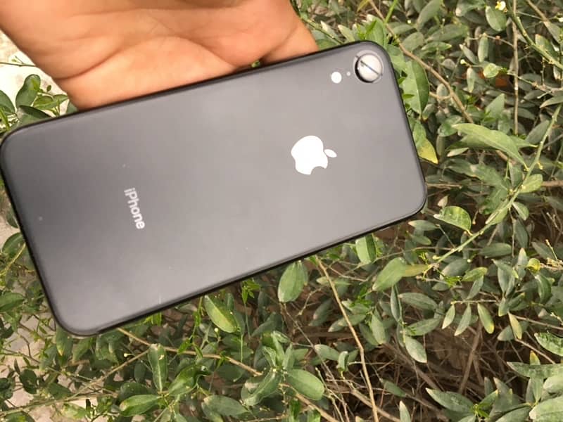 iphone Xr pta approved 2