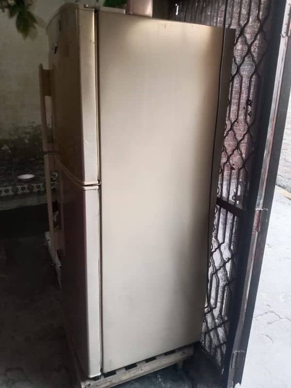 Haier refrigerator 10/10 condition skin colour 1