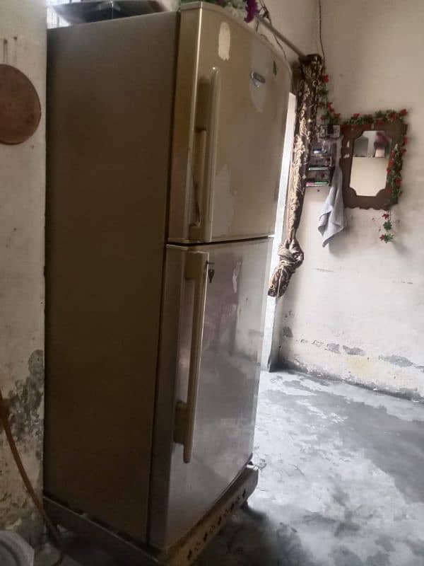 Haier refrigerator 10/10 condition skin colour 2