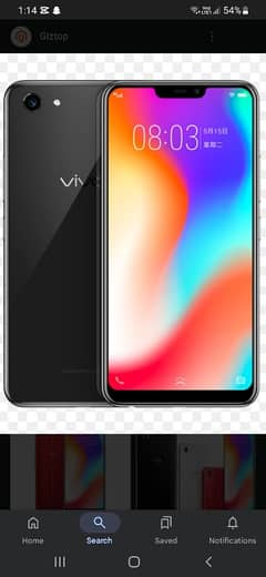 vivo