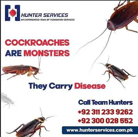 General fumigation Termite treatment Pest control services in karachi 4