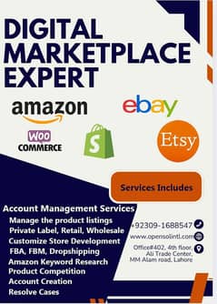 Expert A to Z Account Management Services Amazon, E-Bay, Etsy, Shopify