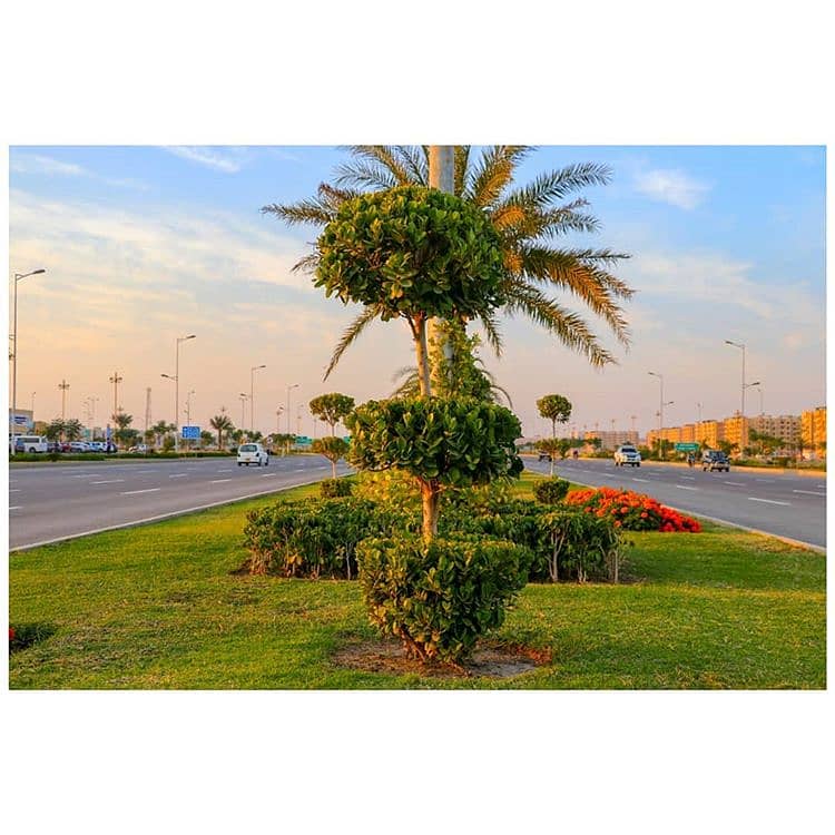 Highly Recommended Low Budget 5 Marla Plot for Sale in Phase 2 Bahria Orchard Lahore 32