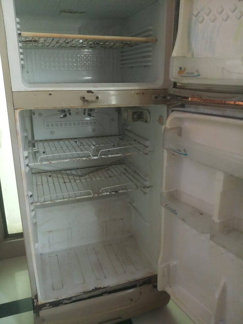 Pel Refrigerator Fridge 1