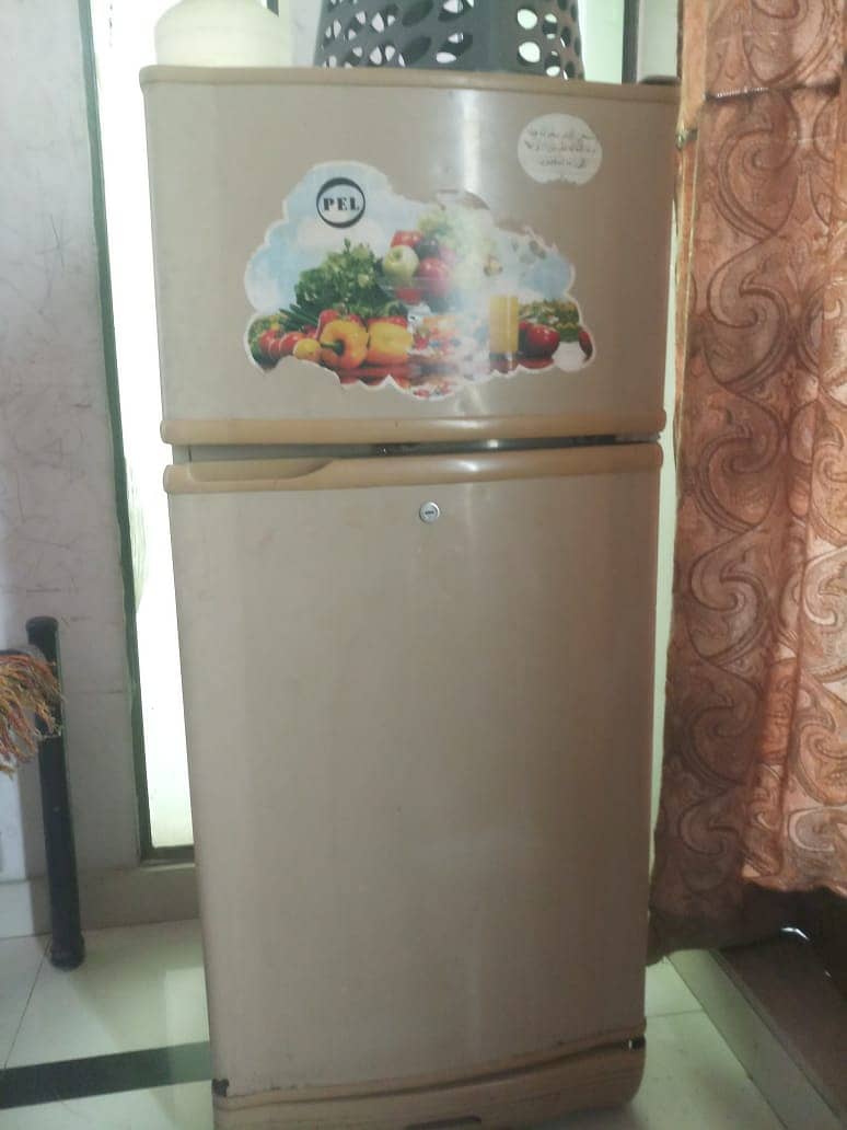 Pel Refrigerator Fridge 5