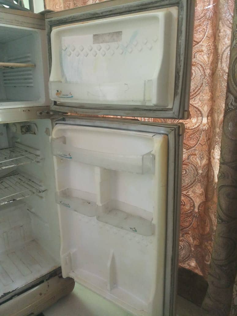 Pel Refrigerator Fridge 6