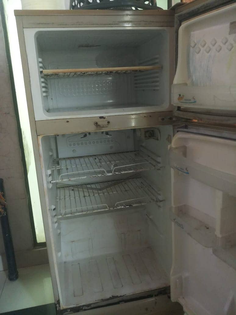 Pel Refrigerator Fridge 7