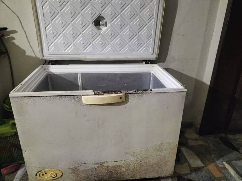 D freezer  waves company company for sale 5