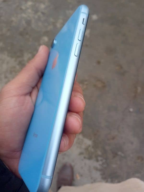 Apple Iphone XR non PTA 13