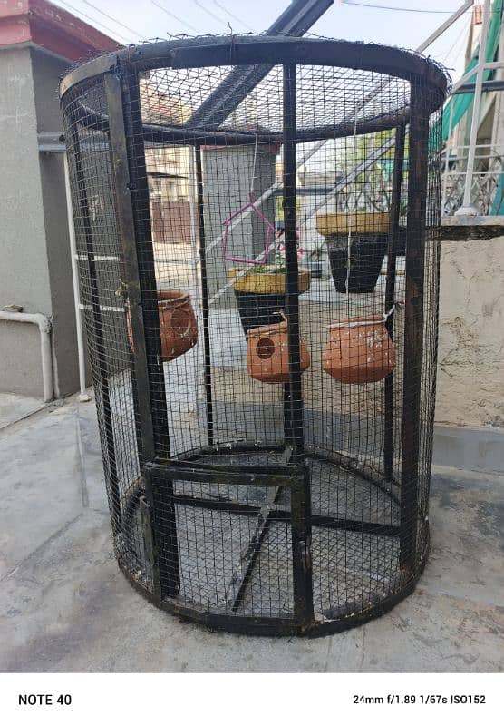 Bird cage 8