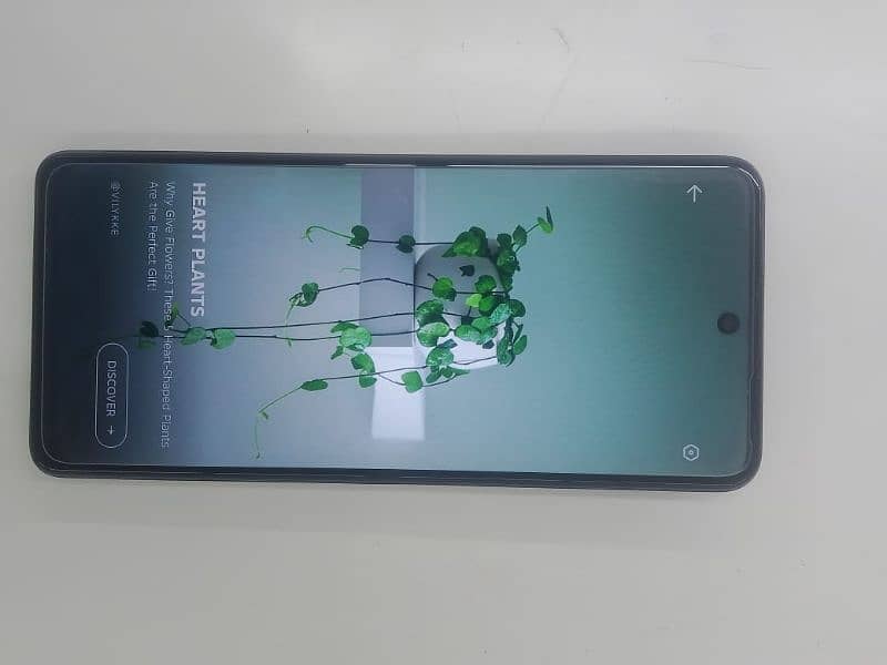 Infinix hot 40 8+8 256 gb 1