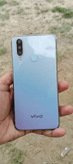 Vivo