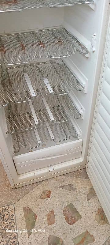 Kelvinator Freezer 1