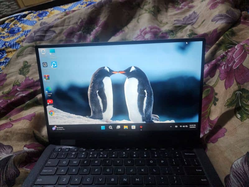 xps 9365  i7 7gen 5