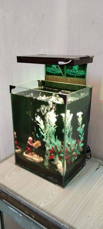 Betta and gold fish house 2