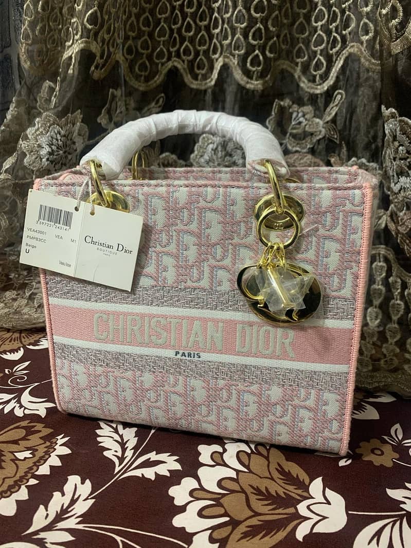 Christian Dior bag 6