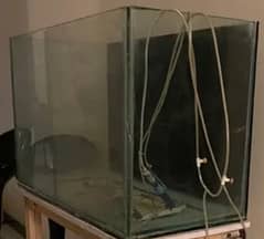 Glass Aquarium for real fishes