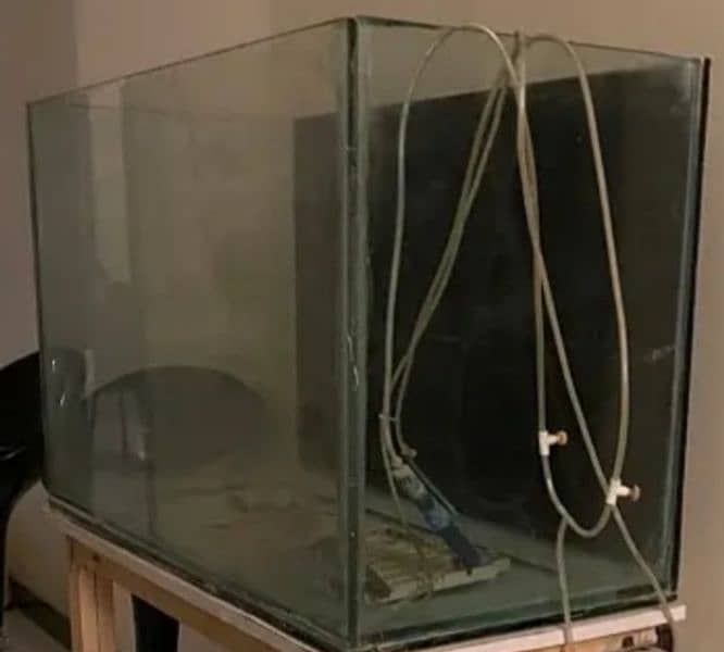 Glass Aquarium for real fishes 0