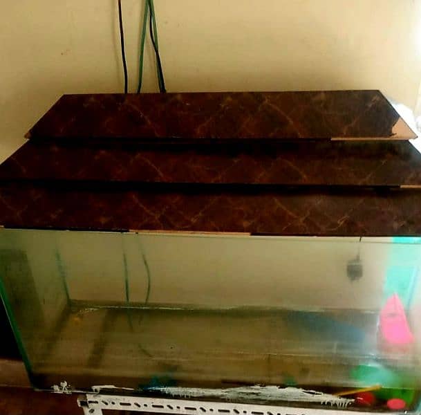 Glass Aquarium for real fishes 5