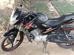 Yamaha YBR 125 Black COLOUR