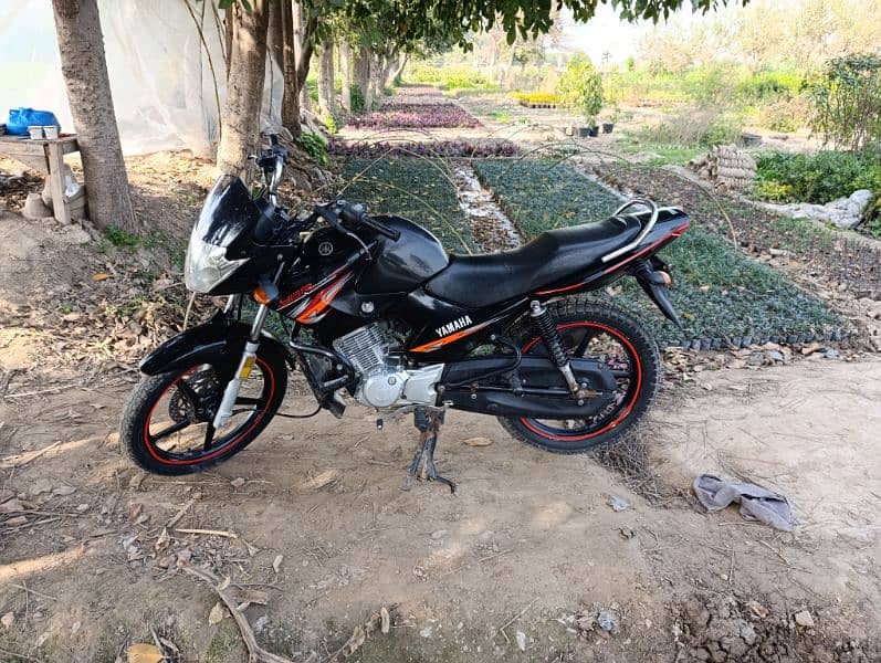 Yamaha YBR 125 Black COLOUR 1