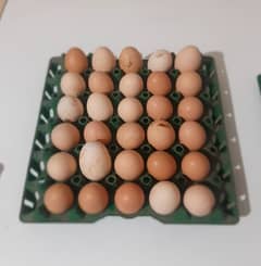 Desi eggs For sale FRESH