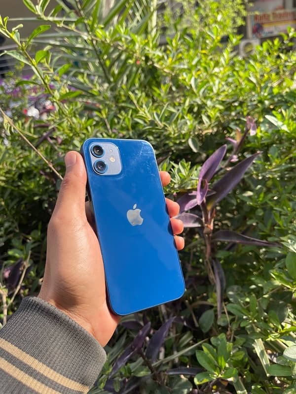 IPHONE 12 PTA APPROVED 1