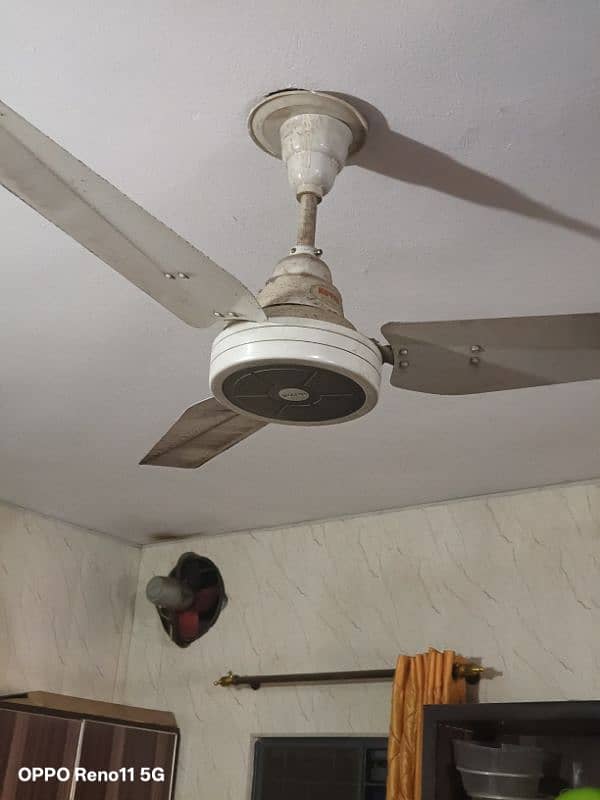 ceiling Fans 0