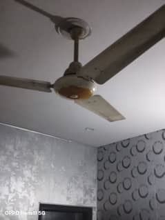 ceiling Fans