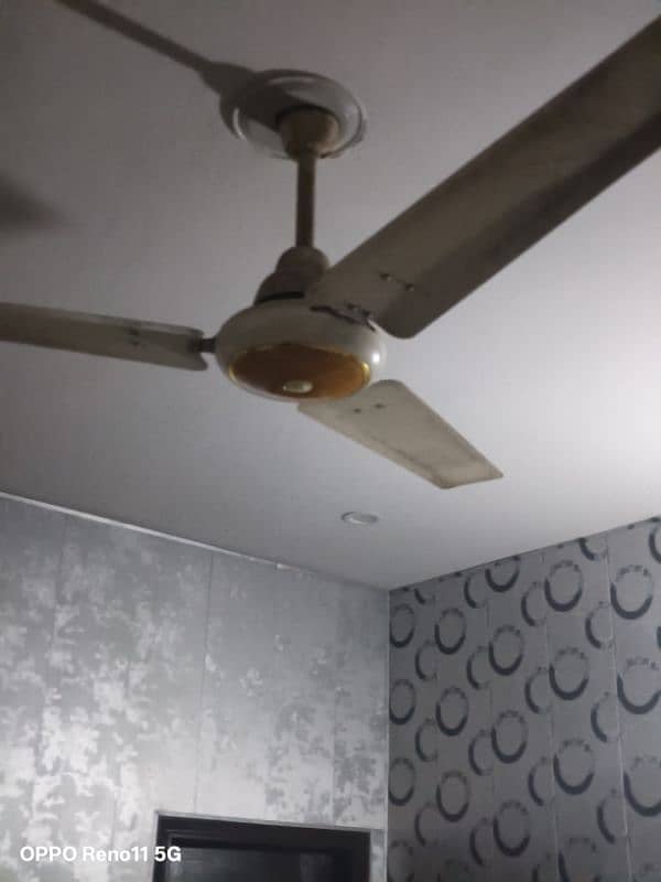 ceiling Fans 2