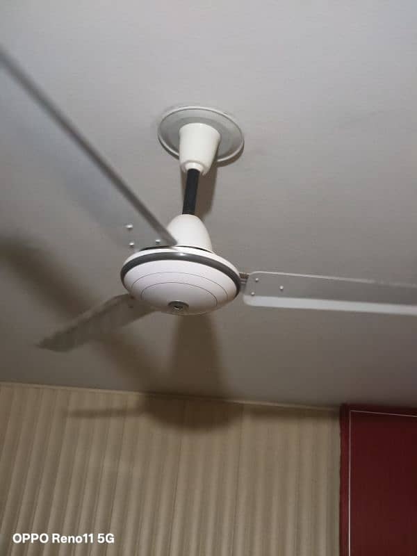 ceiling Fans 3