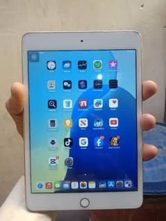 ipad mini 5