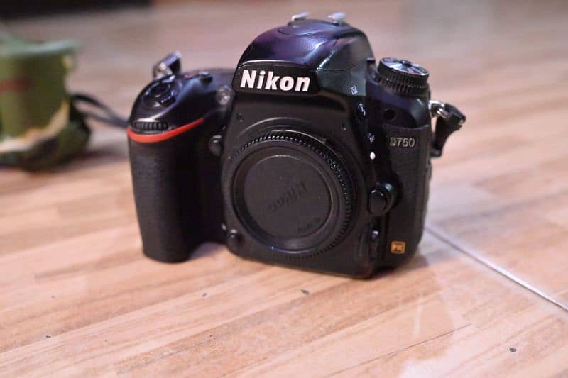 Nikon D750 with 24-85 4l lens 7