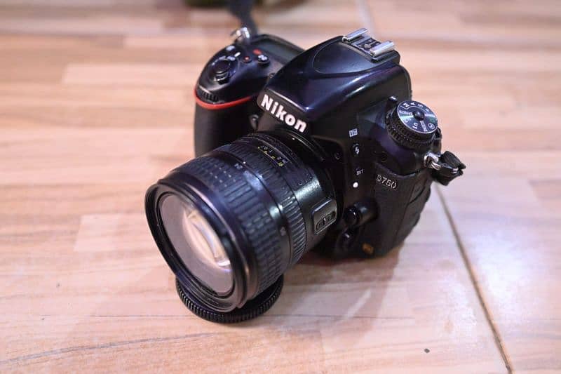 Nikon D750 with 24-85 4l lens 9