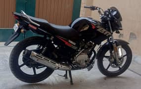 Yamaha YBR 125, Black