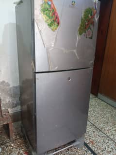 Haier fridge hrf 216 neat and clean