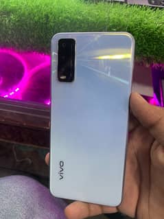 vivo