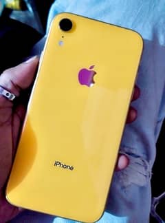 iPhone XR, 128 GB, LLA, factory unlocked in mint condition