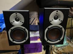 Dali Bookhelf Speakers(Denon, Marantz, Bose, Klipsch)