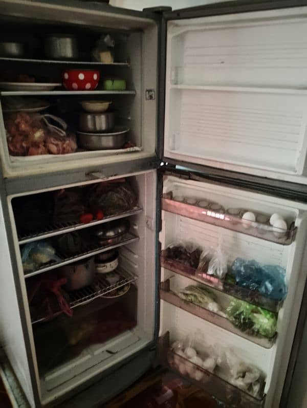 Fridge 2